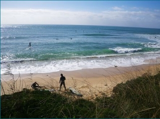  Paddle Surf paradise rate 